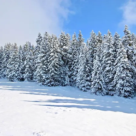 Apartman Cosy Avec Balcon Et Animaux Admis A - Fr-1-340-280 Chamrousse